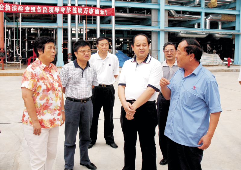 湖北省人大常委副主任蒋大国来公司，对公司《劳动合同法》实施情况进行检查